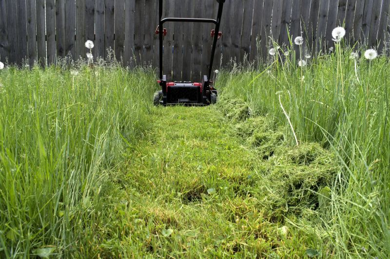 Lawn Health Maintenance