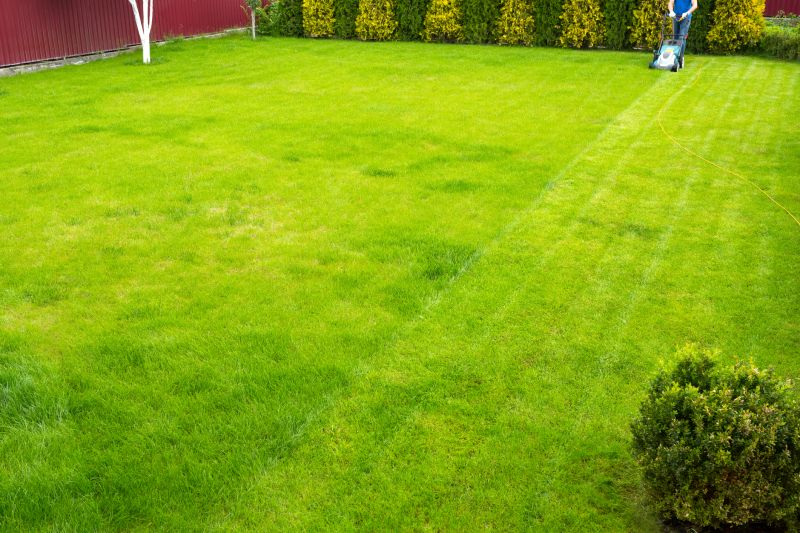 Spring Lawn Maintenance