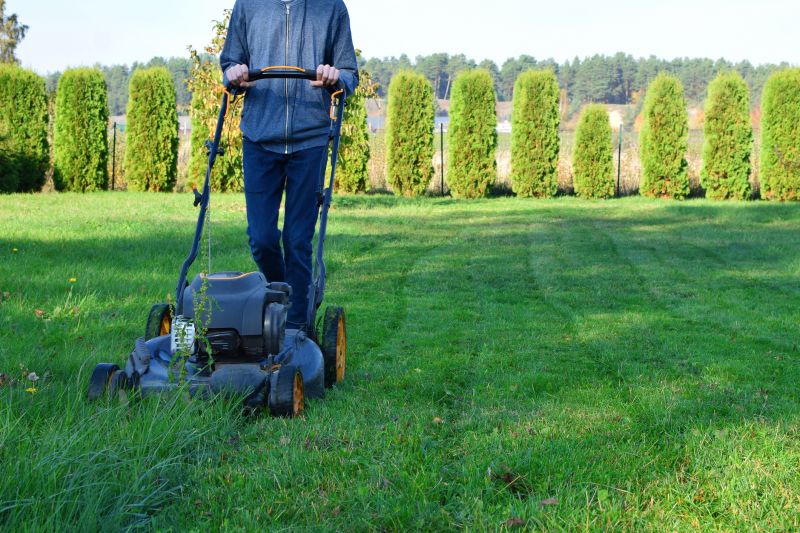 Local Lawn Care Companies