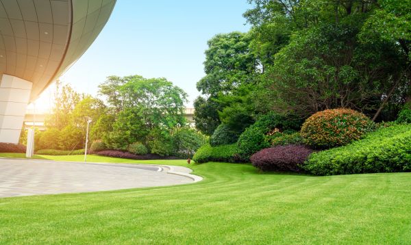 Commercial Lawn Mowing in Duluth