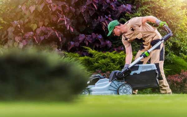 Lawn Care And Maintenance in Duluth