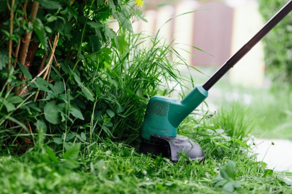Weed Whacking in Duluth