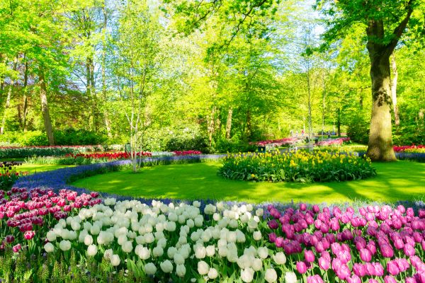 Spring Lawn Care in Duluth