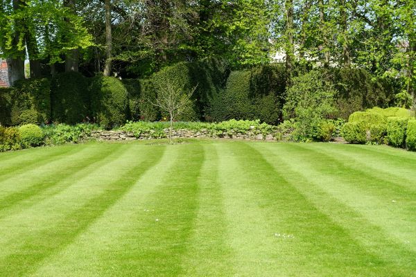 Grass Care Service in Duluth