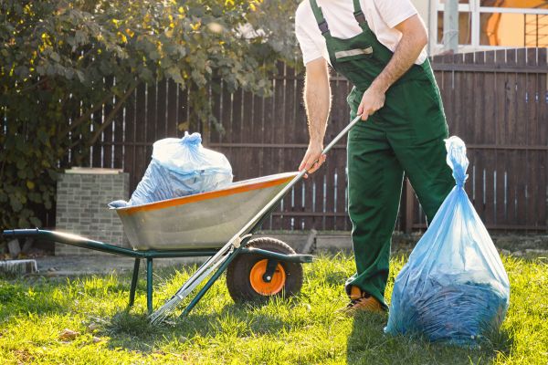 Yard Cleaning in Duluth