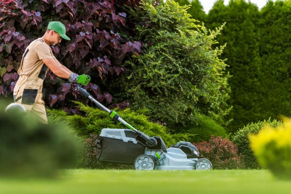 Lawn Management in Duluth