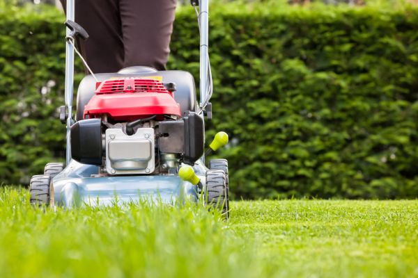 Grass Trimming Service in Duluth