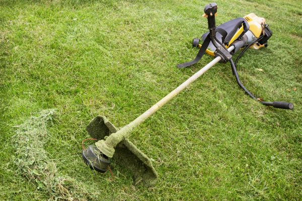 Hillside Weed Whacking in Duluth