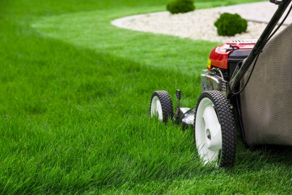 Weekly Mowing in Duluth