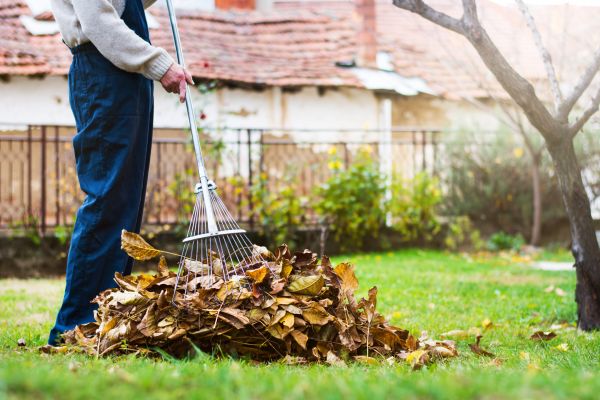 Routine Lawn Maintenance in Duluth