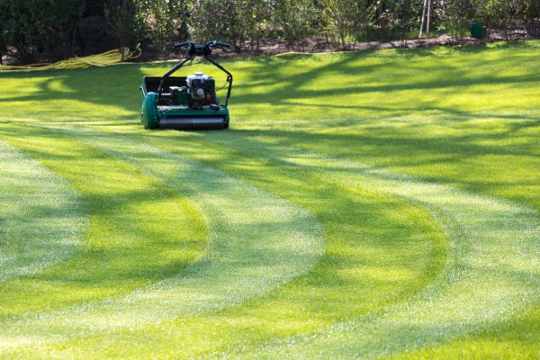 Business Lawn Mowing in Duluth