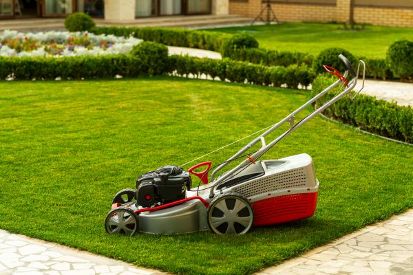 Business Grass Cutting in Duluth