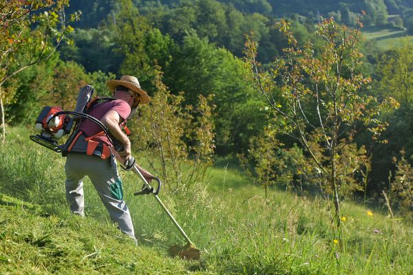 Slope Mowing in Duluth