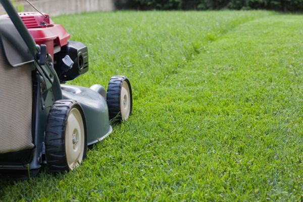 Spring Lawn Maintenance in Duluth