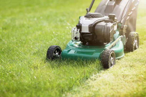 Spring Grass Trimming in Duluth