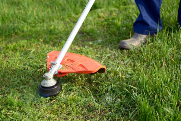 Lawn Weed Whacking in Duluth